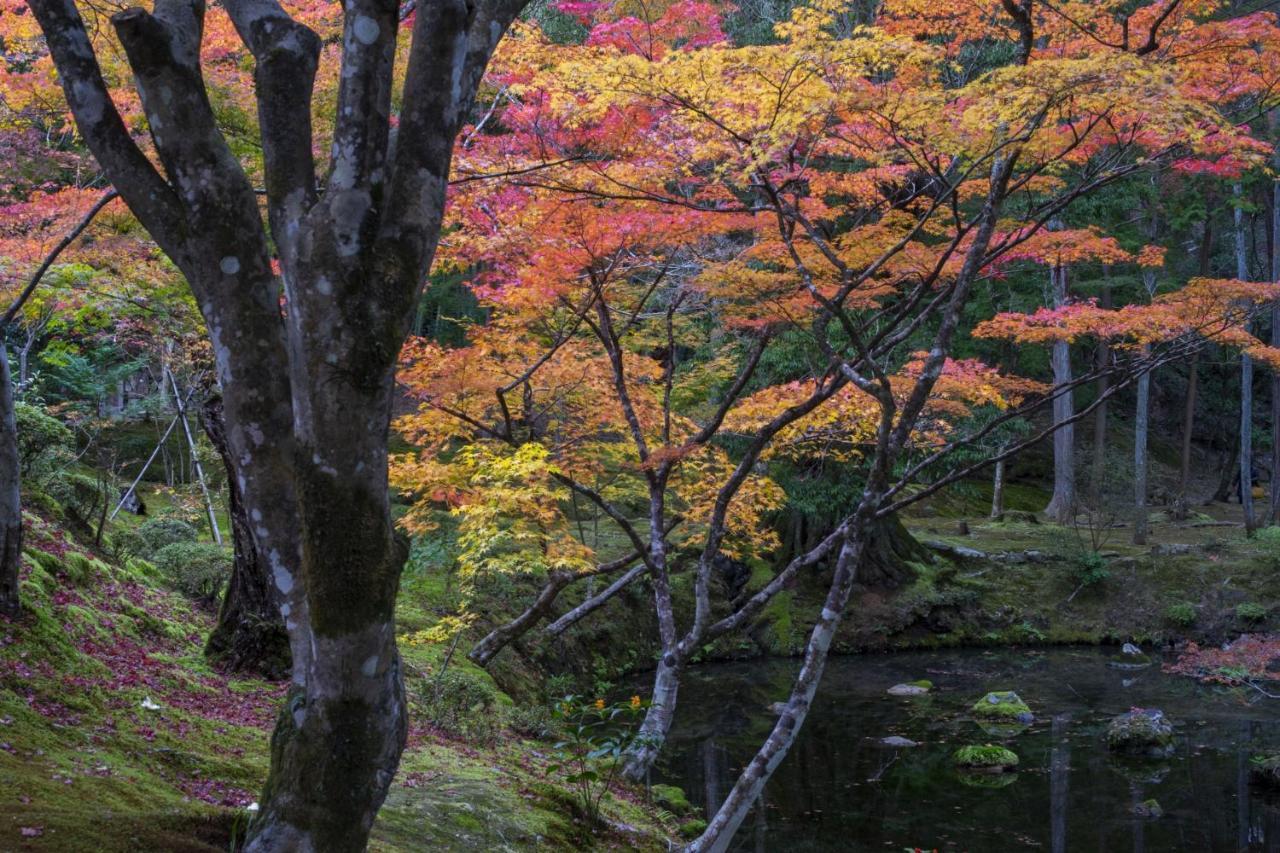 Hotel Arrows Arashiyama Kyoto Eksteriør billede